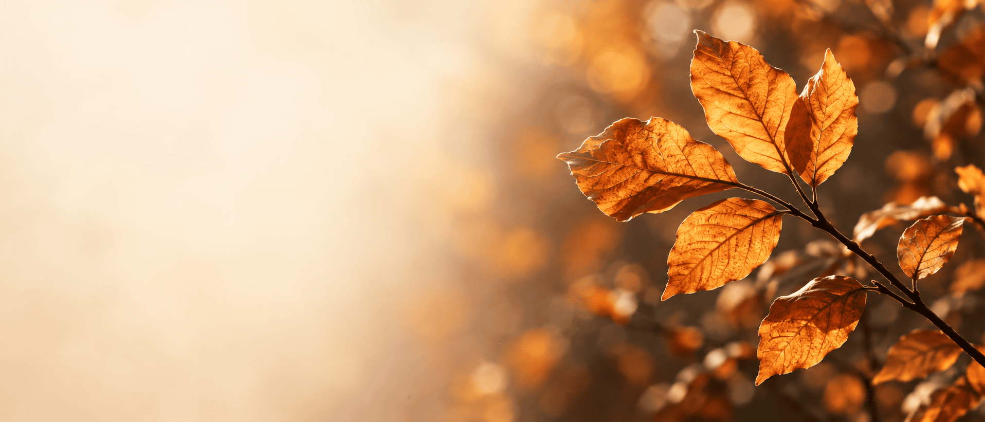 « En automne, le Qi Gong invite à ralentir, respirer plus amplement, nourrir le Poumon, laisser partir ce qui encombre. »