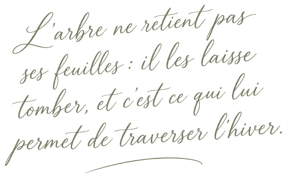 citation-arbre-detoure